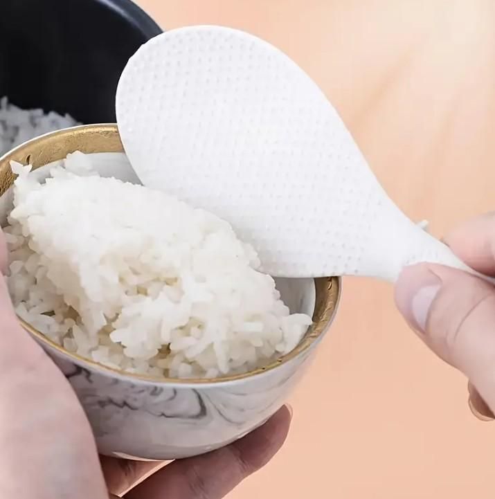 Self Standing Rice Scoop Spoon with Non Stick Coating (Pack of 2)
